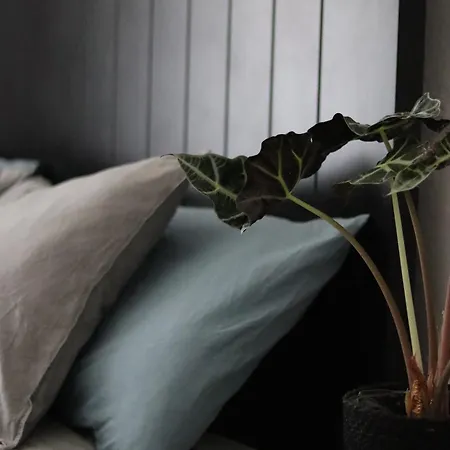 Spacious 3 In Art Nouveau District